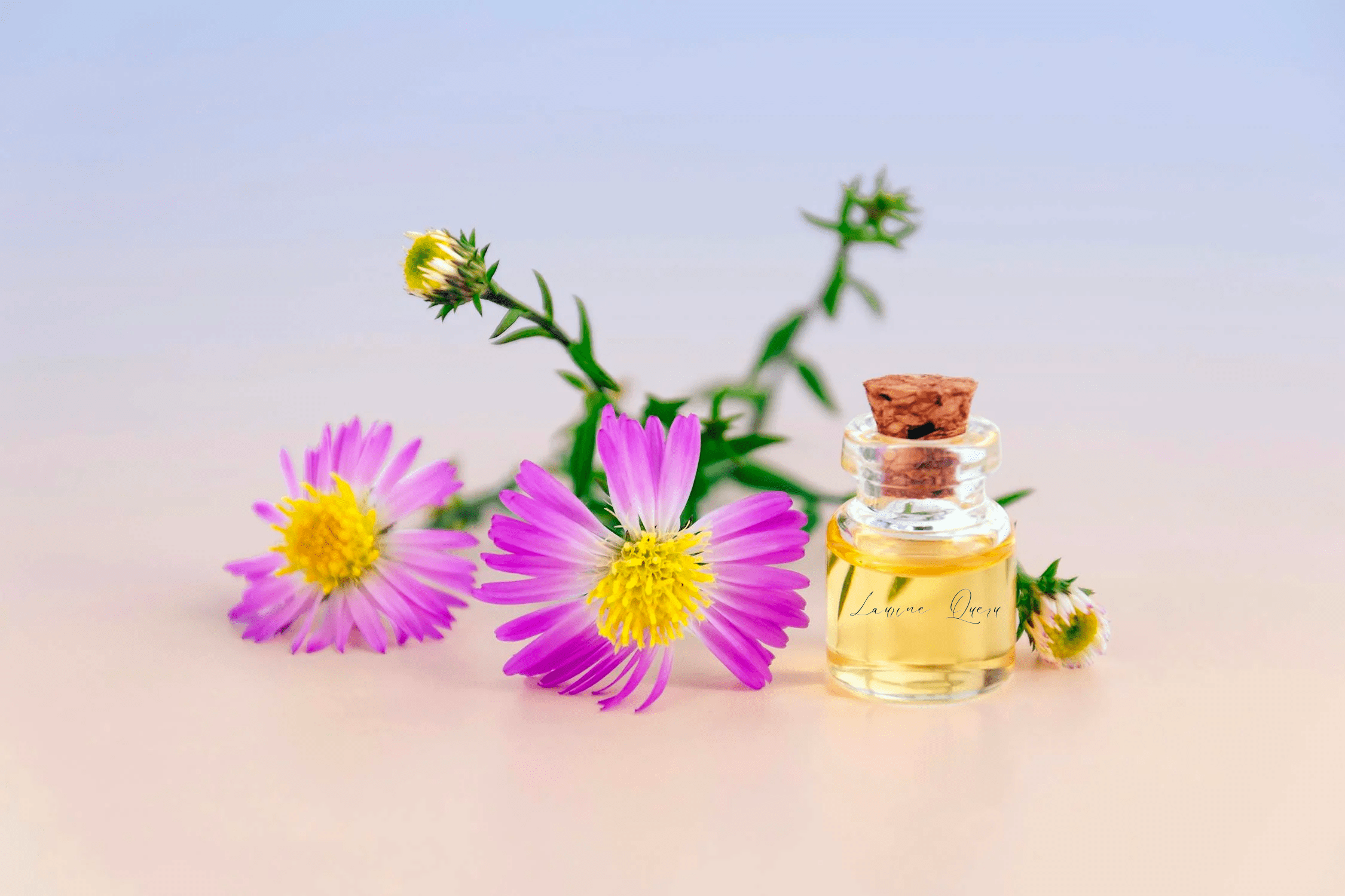Créer un parfum personnalisé en France : Tendance, avantages et conseils pour une expérience unique